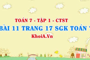 Bài 11 trang 17 SGK Toán 7 tập 1 Chân trời sáng tạo